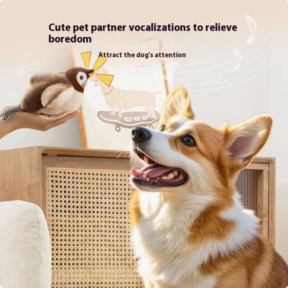 New Interactive Toys Electric Pat Bird with Catnip Dog Cats Touch-Activated Squeaky Plush Toy Pet USB Rechargeable