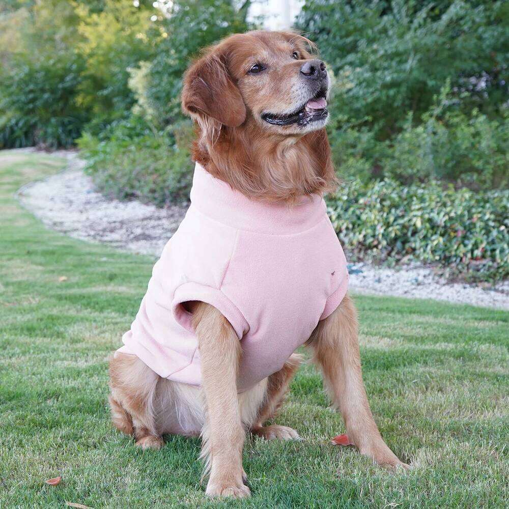 Chinese Embroidery Fleece Cat Jacket S To 8Xl Spring Autumn Pet Clothes For Small Medium Large Dogs Puppy Big Dog Vest Kitten Pullovers Outfit