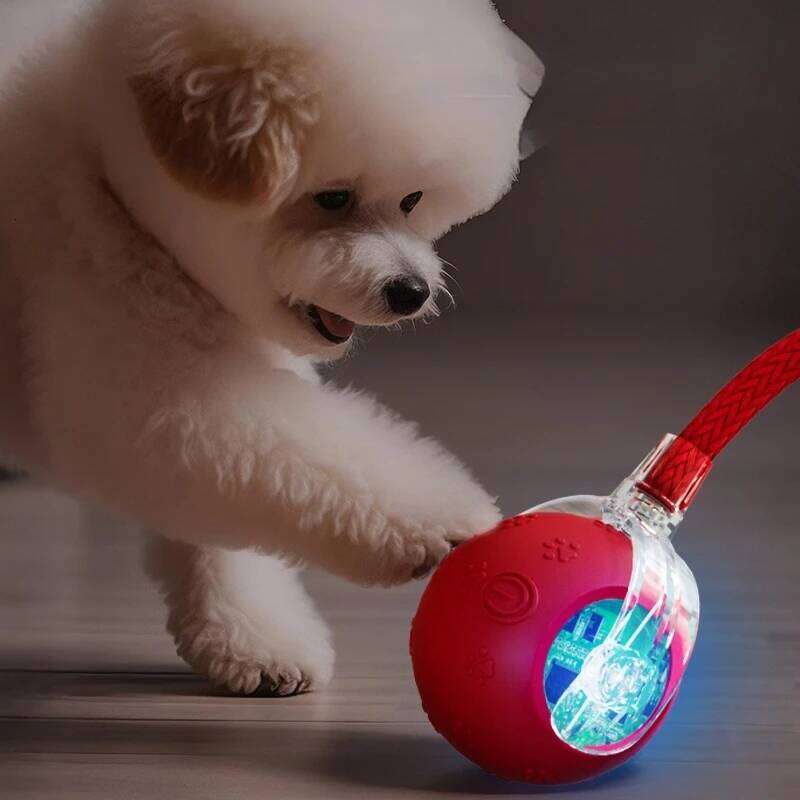Upgrade Interactive Toys Smart Pet Interaction with Bird Sound Automatic Rolling for Cat Electric Dog Ball Toy