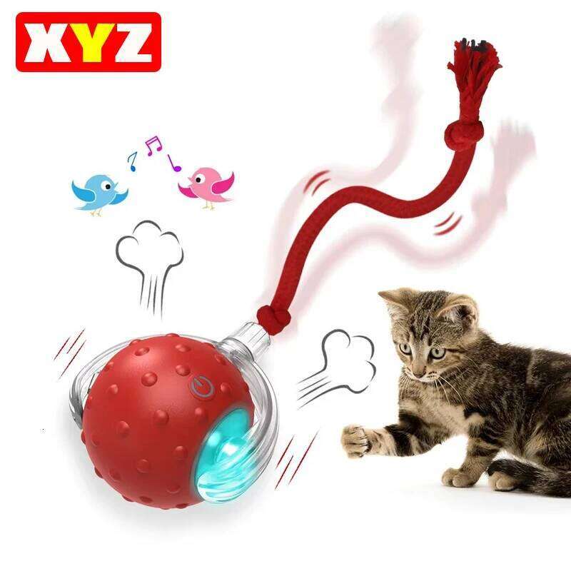 Interactive Toy Ball with Bird Chirping Super Drive Cat Rolling Balls Motion Activated Sensor Pet Kittens Teaser Game Toys