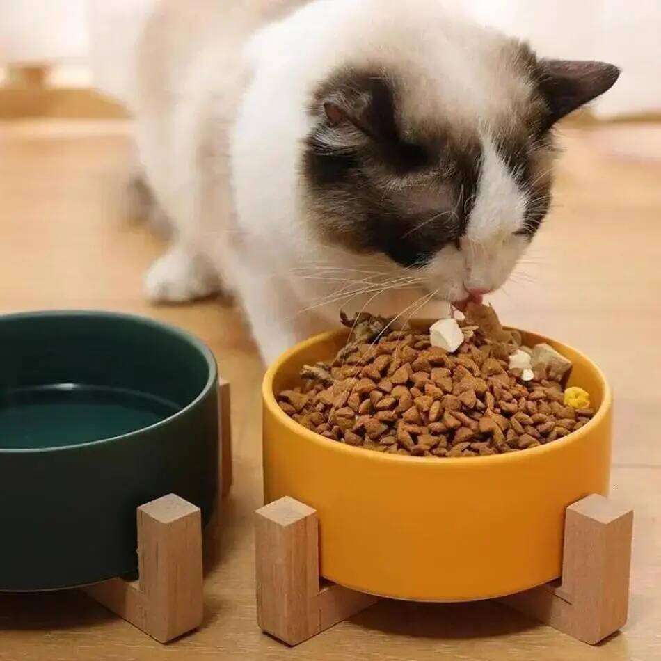 Wooden Rack Dog Large Capacity Cat Food Water Feeder Cats Dogs Bowl Accessories Home Pet Small Ceramic 26W0330