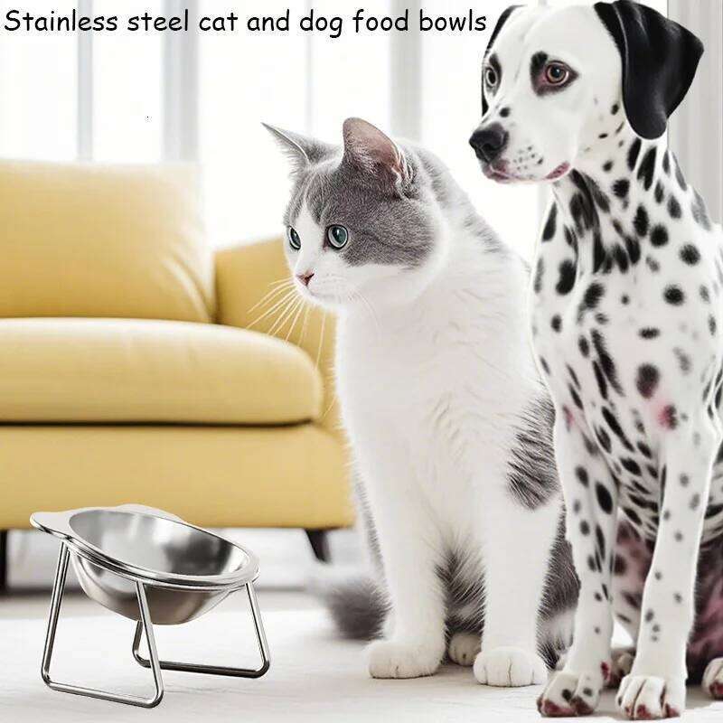 15 Tilted Elevated Dog 304 Stainless Steel Anti-Vomiting Pet Food Water Bowl Spine Protection for Dogs Cats 26W0330