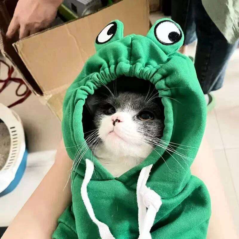Pet Dog Cosplay Costume For Small Medium Dogs Cats Cute Adjustable Puppy Hooded Clothing With Elastic Chihuahua Bulldog Outfits
