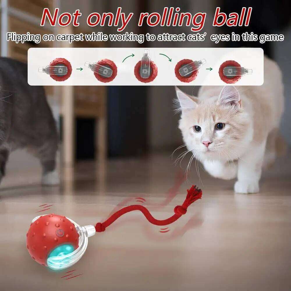 Interactive Toy Ball with Bird Chirping Super Drive Cat Rolling Balls Motion Activated Sensor Pet Kittens Teaser Game Toys