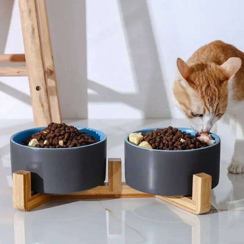Ceramic Dog Food Cat Drinking Water Double Protection Cervical Spine Black Pet Bowl 26W0330
