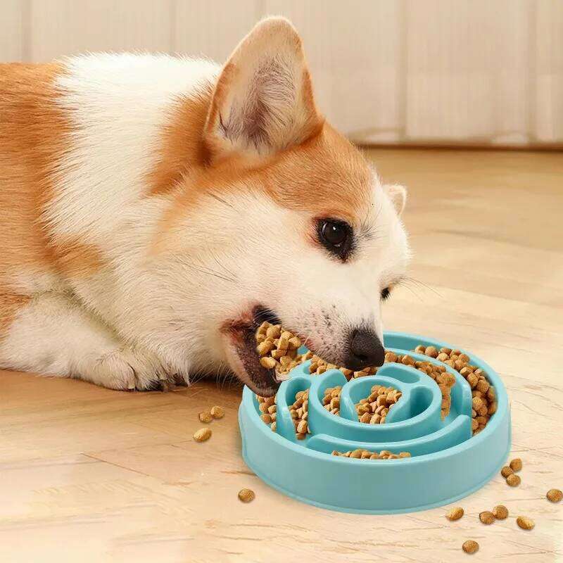 1PC Cat Non-Slip Slow Feeding Dog Food Bowl Pet Supplies 26W0330