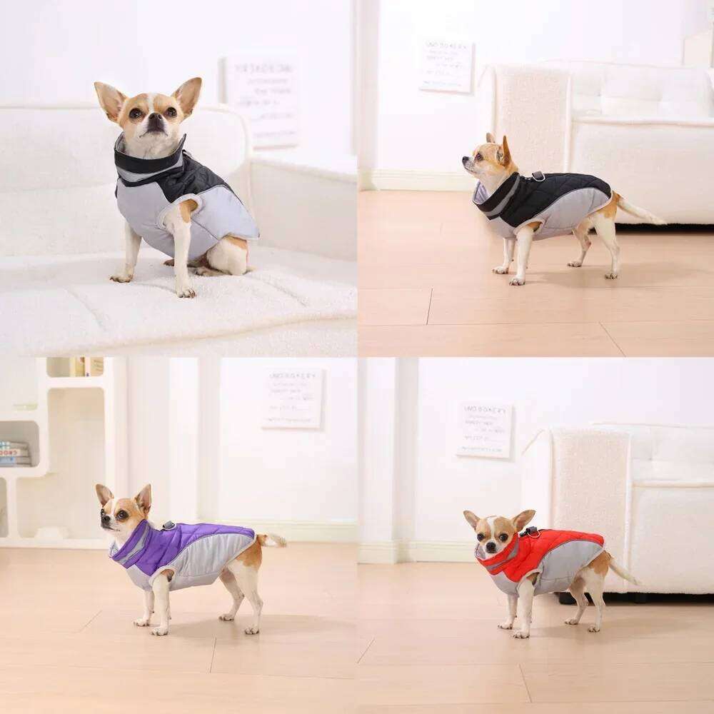 Travel Dog Clothes Pet Hiking Jacket With D-ring For Small Dogs Cats Warm Winproof Puppy Outdoor Camping Coat Yorkshire Overalls