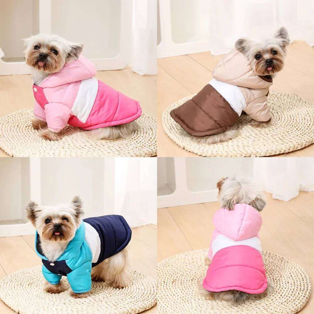 Autumn Clothes Winter Pet Dog Coat With Hooded For Small Medium Dogs Cats Windproof Puppy Solid Overalls Yorkshire Bulldog