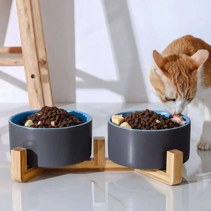FGG Ceramic Dog Food Cat Drinking Water Double Protection Cervical Spine Black Pet Bowl 26W0330