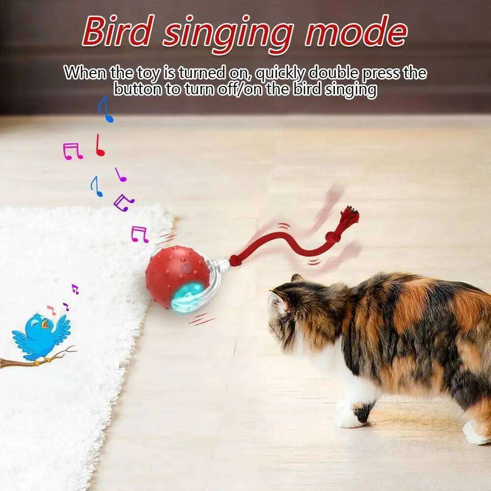 Interactive Toy Ball with Bird Chirping Super Drive Cat Rolling Balls Motion Activated Sensor Pet Kittens Teaser Game Toys
