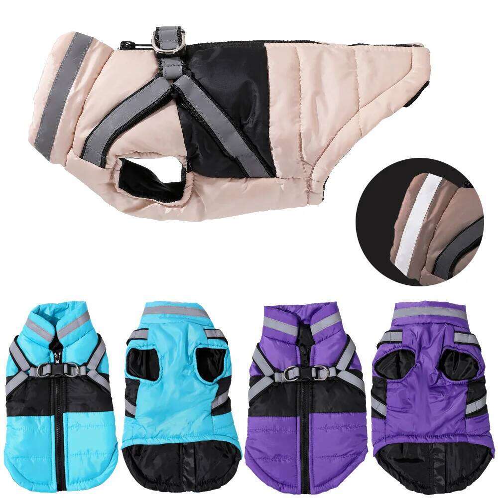 Coat With Harness Winter Warm Dog Clothes For Small Medium Dogs Cats Windproof Cat Clothing Chihuahua Yorkshire Pet Jacket