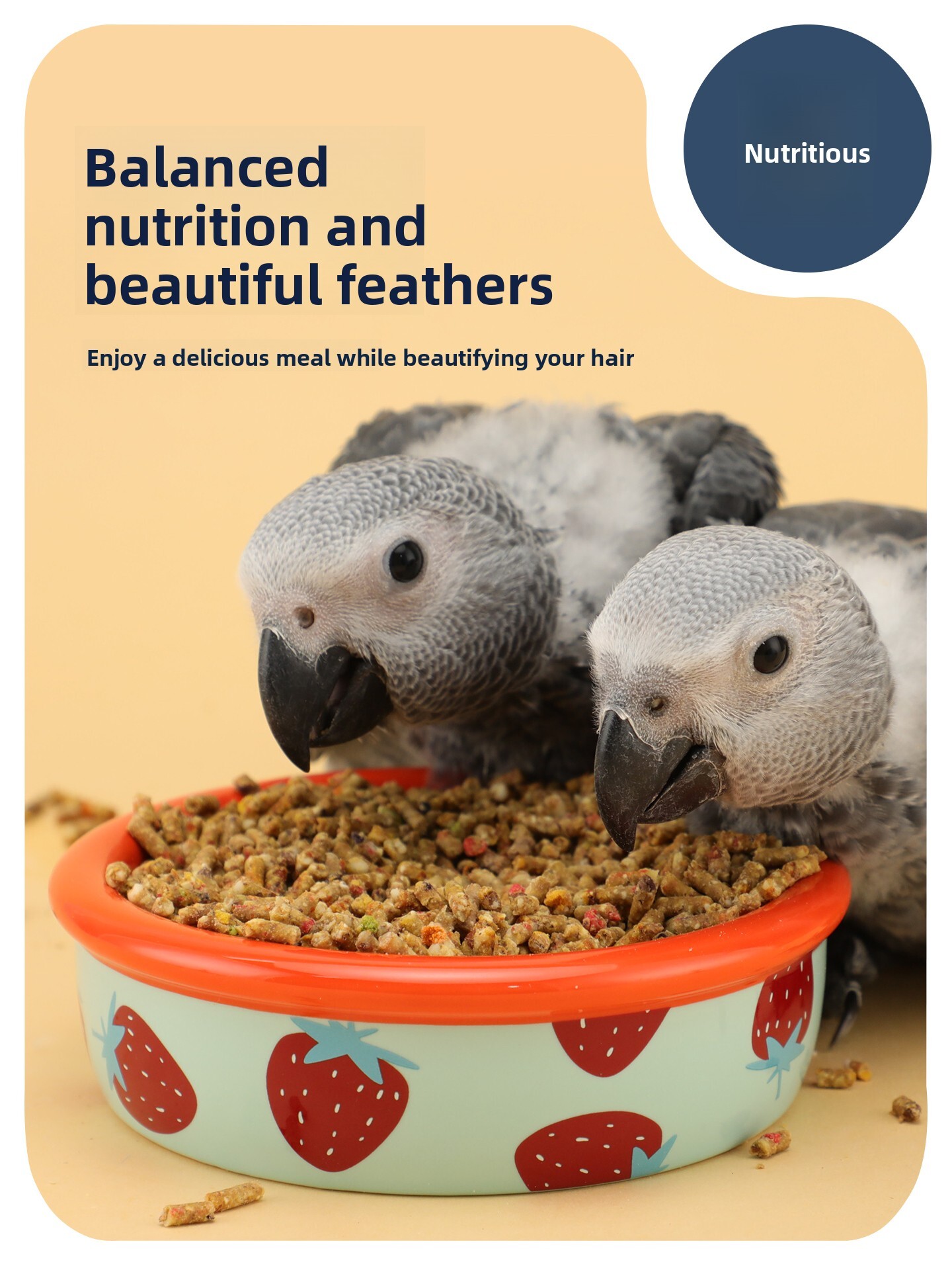 Parrot food, small sun food, monk parrot food, cockatoo food, nutritional granule food