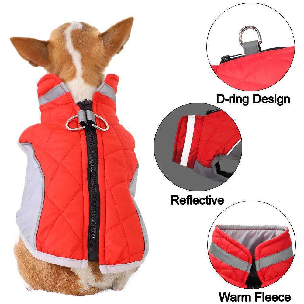 Winter Pet Dog Clothes For Small Medium Dogs Cats Reflective Puppy Jacket Coat Cat Clothing with D-ring Chihuahua Pug Overalls