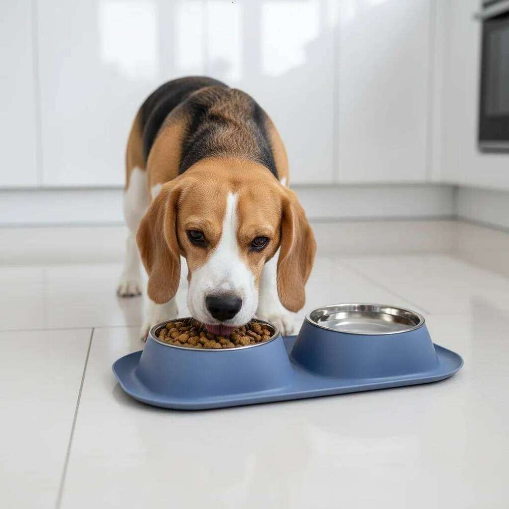 Stainless Steel Pet Bowls Double Bowl Set for Dogs & Cats - Non-Slip Food Water Feeder Dish 26W0330