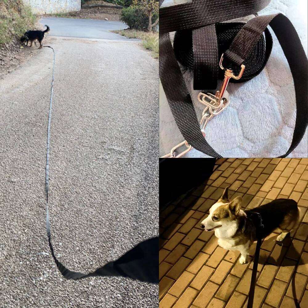 Big Leash For Small Medium Large Dog Cat Hiking Long Strong Nylon Traction Rope French Bulldog Golden Retriever Pet Supplies
