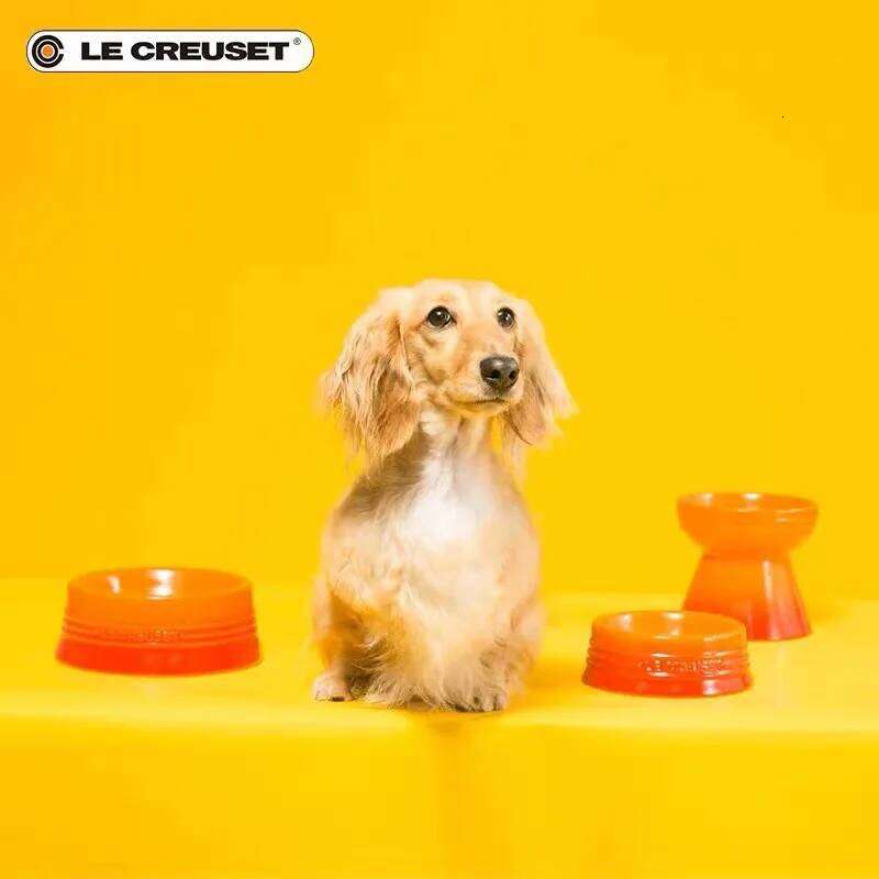 Le Creuset Pet Elevated for Cervical Spine Protection, and Water Bowl, Cat Supplies, Dog Food Bowl 26W0330