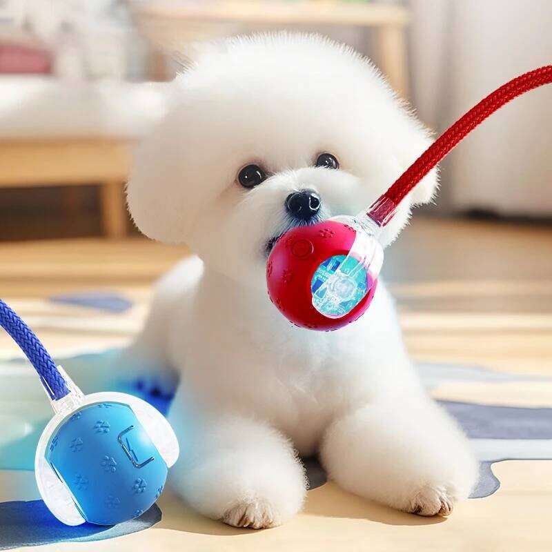Upgrade Interactive Toys Smart Pet Interaction with Bird Sound Automatic Rolling for Cat Electric Dog Ball Toy