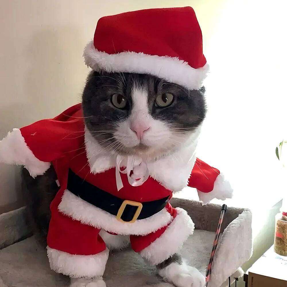 Christmas Cosplay Costume For Small Medium Cat Dog Kitten Outfits Funny Party Dressed Up Clothing Sphynx Clothes Pet Jacket