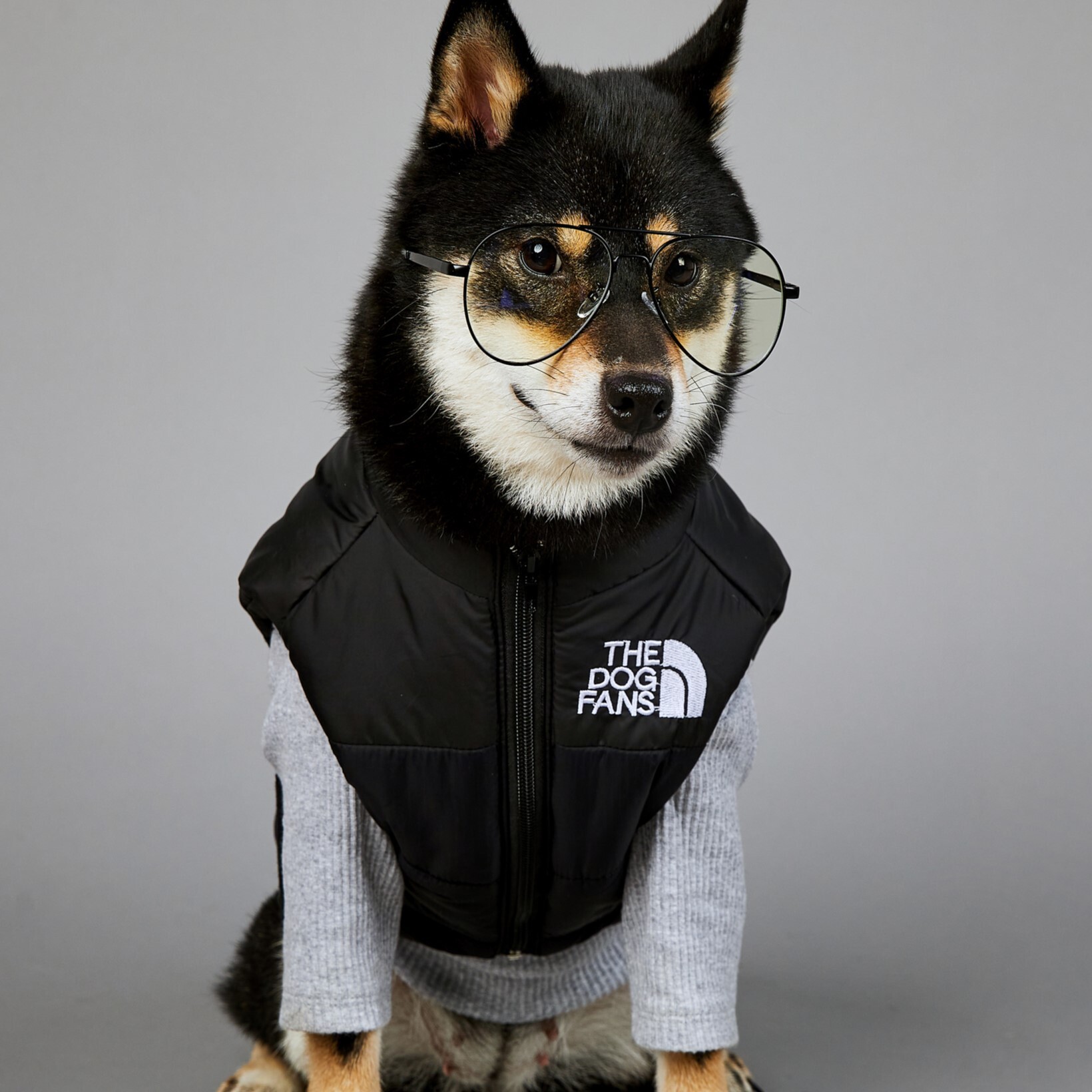 Dog Pet Cotton Jacket Windbreaker American Trendy Face Windproof Rainproof Large Winter Warm Raincoat