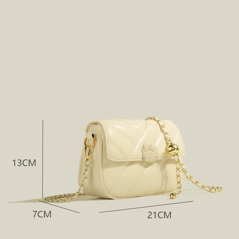 autumn and winter bags 2025 new model white high-end niche women's versatile chain crossbody bag