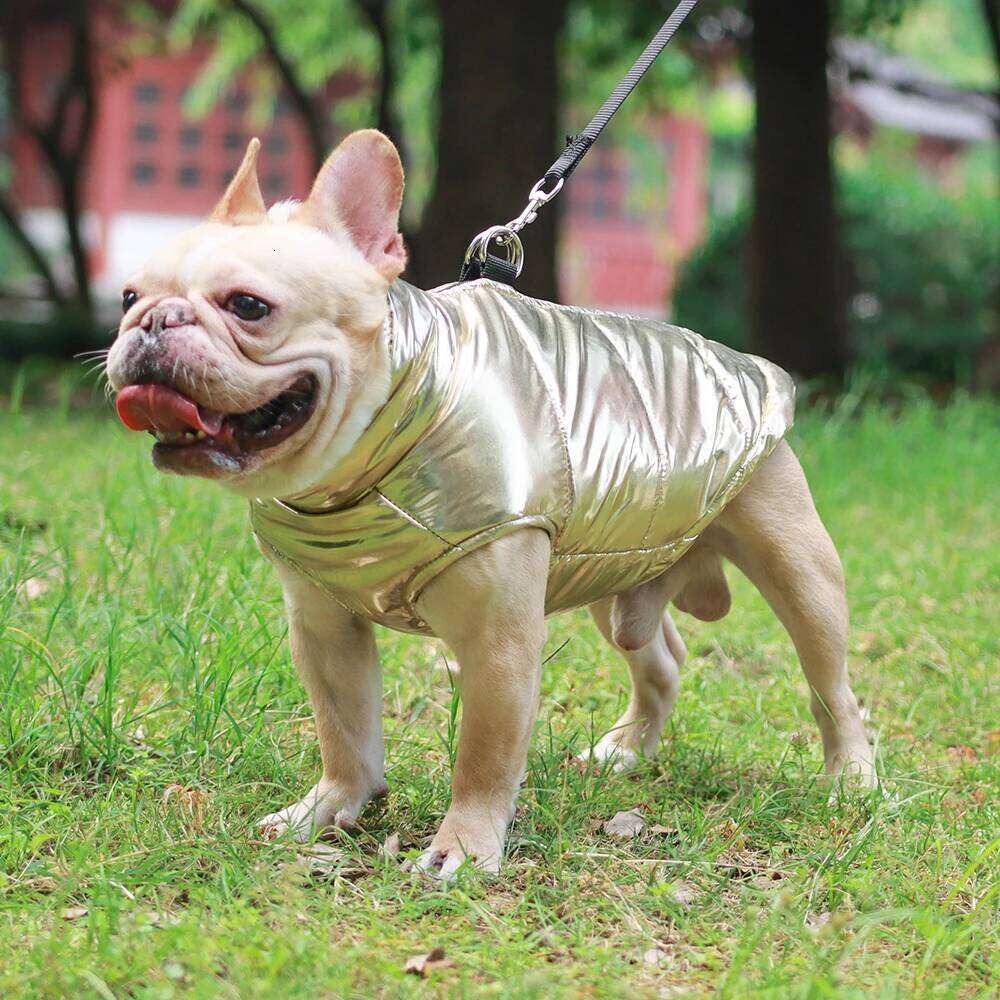 Pet Dog Clothes For Small Medium Dogs Winter Waterproof Puppy Jacket Coat With D-ring Windproof Cat Vest French Bulldog Costumes