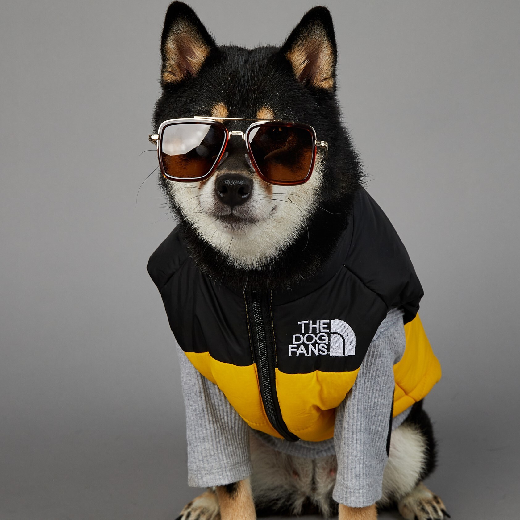 Dog Pet Cotton Jacket Windbreaker American Trendy Face Windproof Rainproof Large Winter Warm Raincoat