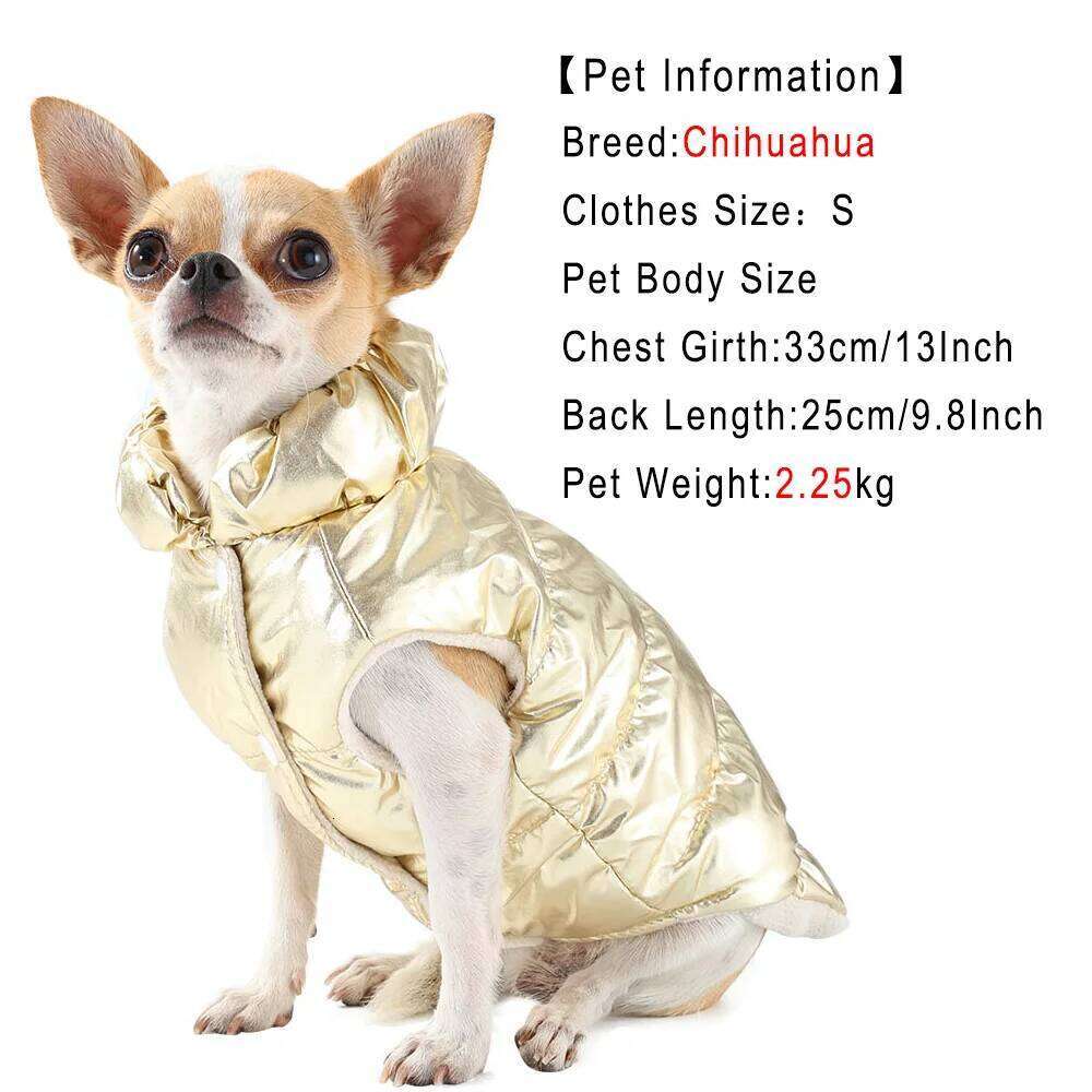 Dog Coat Vest For Small Medium Dogs Cats Hiking Outdoor Waterproof Warm Puppy Clothes with D-ring French Bulldog Pug Pet Jacket