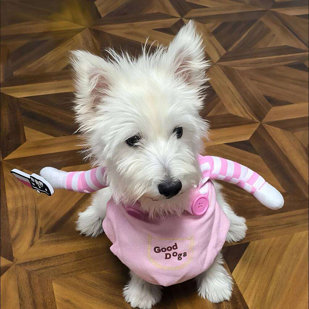 Cosplay Costume Pet Dog Clothes For Small Medium Dogs Cats Halloween Funny Dress Up Clothing Chihuahua Bulldog Pug Outfits