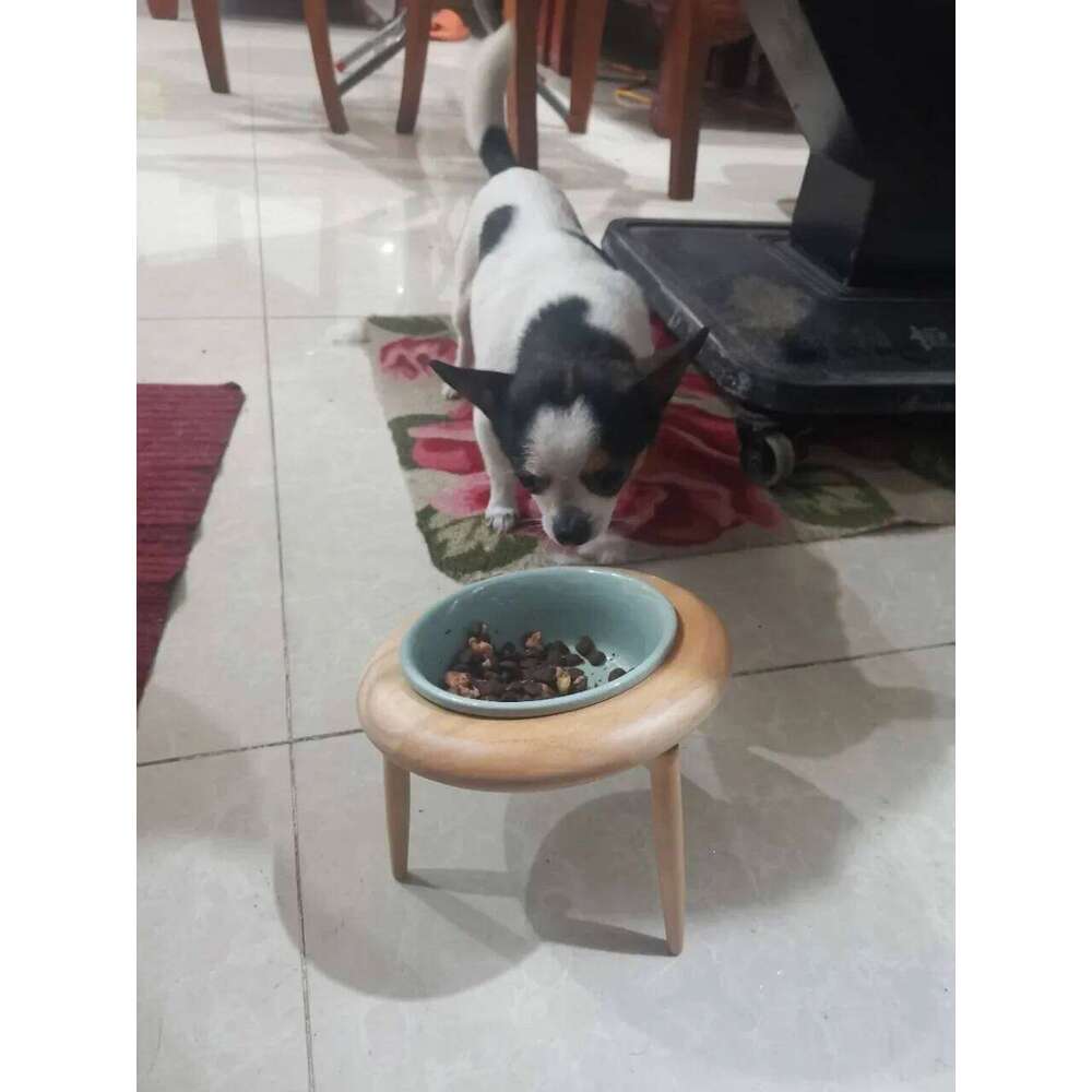 800ml Food Water Bowl with Wood Stand Small Medium Dogs Elevated Drinking Eating Feeder Pet Cat Dog Ceramic Feeding Supplies 26W0330