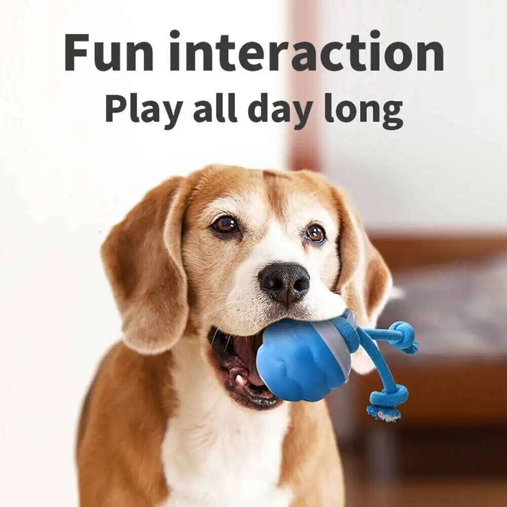 Interactive Toys Smart Rolling Ball With Rope Motion Activated Automatic Moving Squeaky Dog Training Puppy Chew Toy Balls