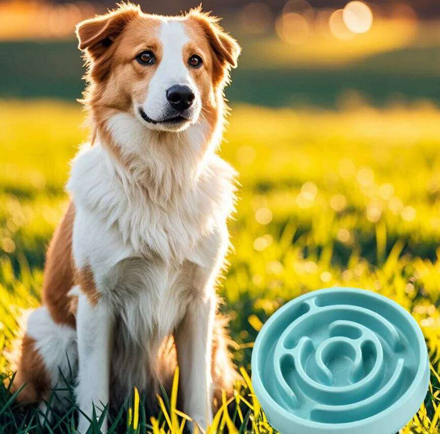 Healthy Eating Slow Feeder Pet Bowl - Non-Slip Maze Design for Dogs Cats, Prevents Bloat & Choking 26W0330