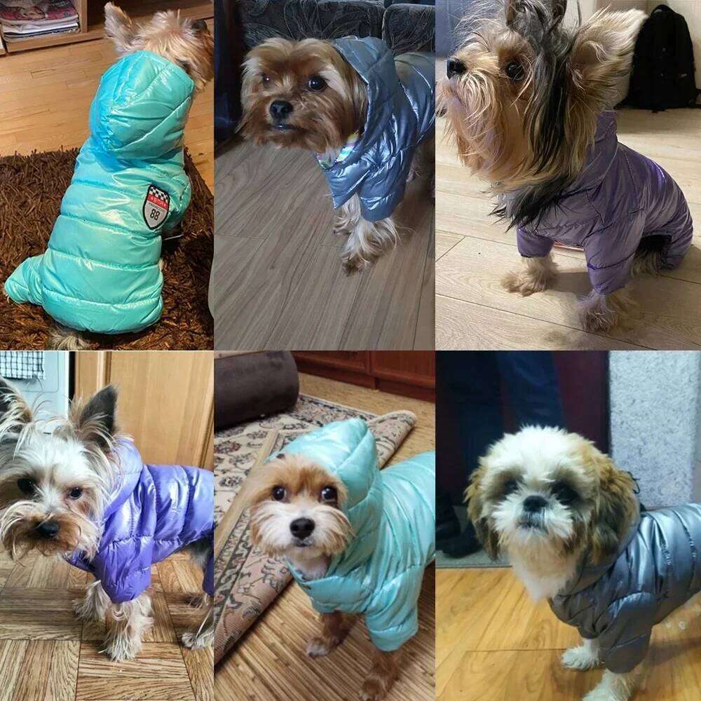 Waterproof Clothes Pet Jacket Coat For Small Medium Dog Winter Windproof Puppy Hooded Clothing Chihuahua Pug Jumpsuit