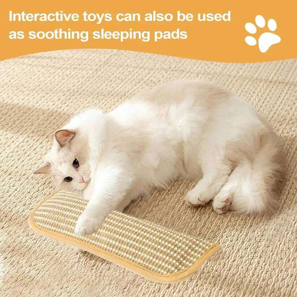 Scratcher Interactive Cat Pillow Kitten Claw Grinder Scratching Post for Cats Chew Bite Toys Catnip Toy
