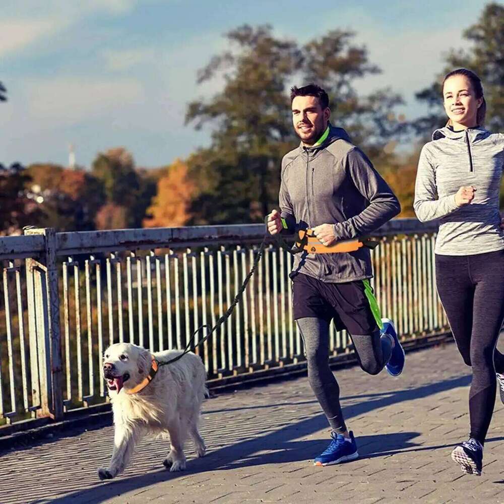 Running Nylon Pet Leash with Waist Bag Retractable Elastic Dog Traction Rope Reflective Belt Buckle