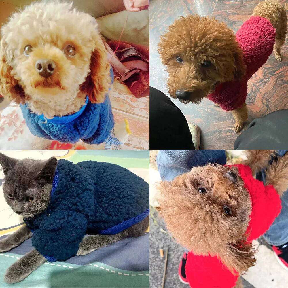 Pet Clothes Winter Warm Fleece Dog Jacket Coat For Small Medium Dogs Cats Windproof Puppy Clothing French Bulldog Costume