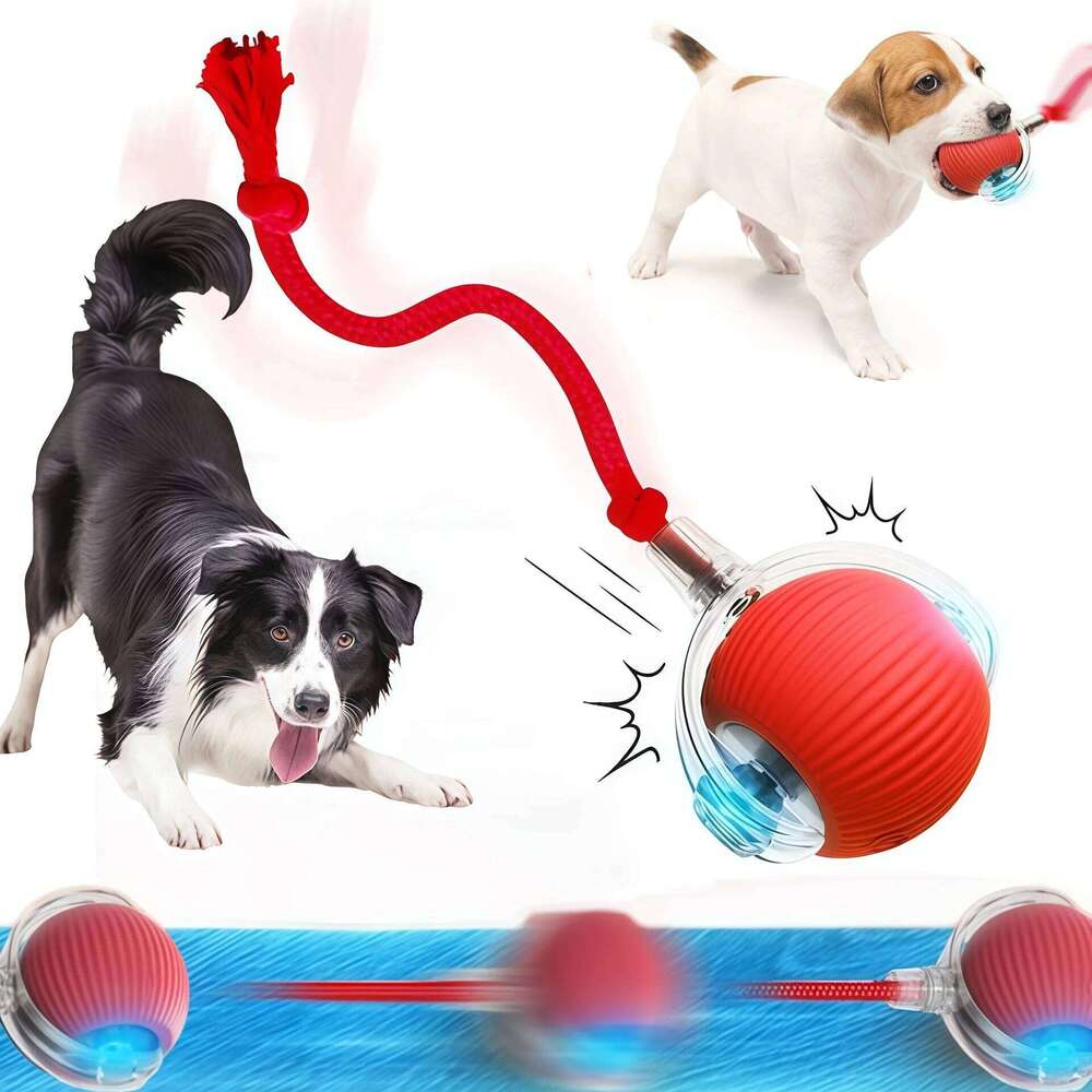 Smart Toys Automatic Rolling Ball Rechargeable Electric Pet Interactive Toy Dog Cat Training Imitate Mouse