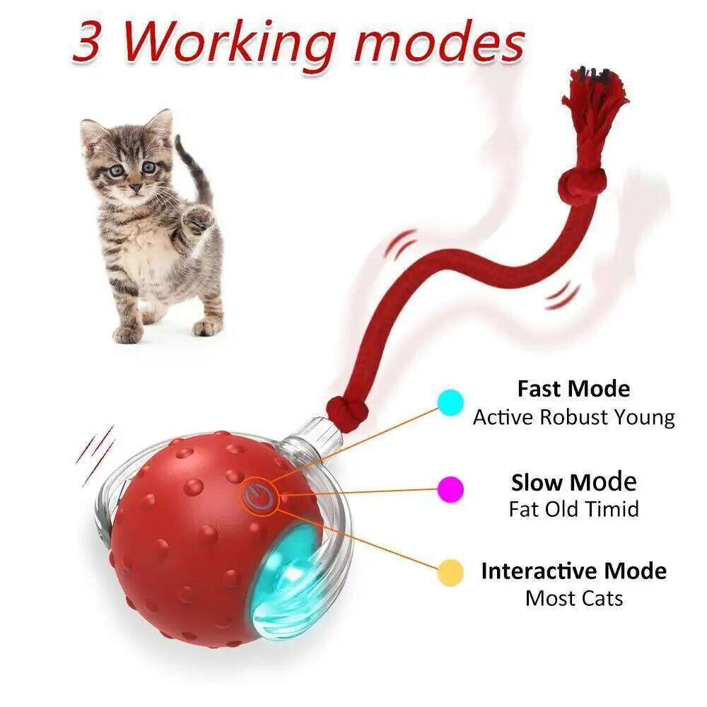 Interactive Toy Ball with Bird Chirping Super Drive Cat Rolling Balls Motion Activated Sensor Pet Kittens Teaser Game Toys