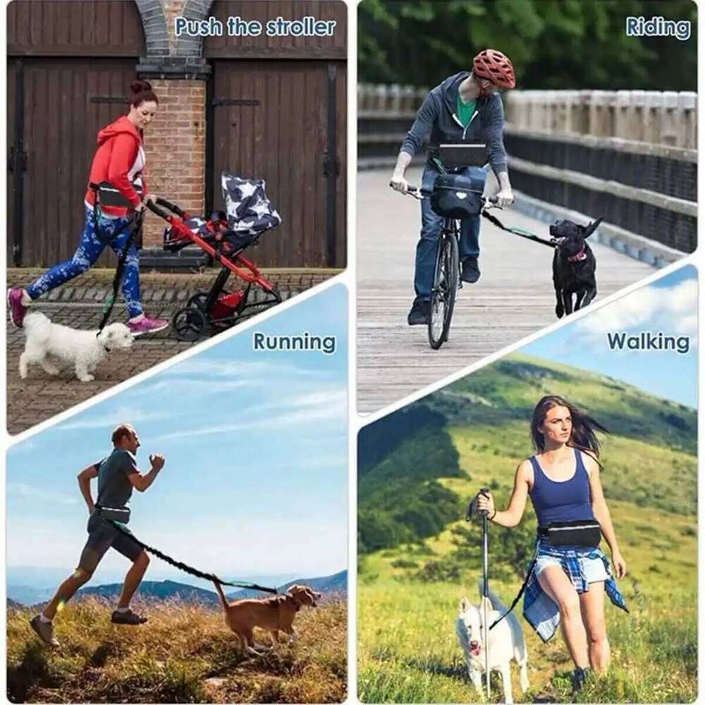 Running Nylon Pet Leash with Waist Bag Retractable Elastic Dog Traction Rope Reflective Belt Buckle