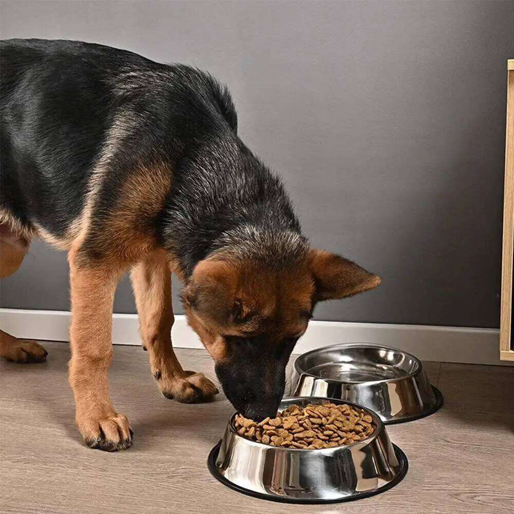 Steel Bowl Skidproof Anti-ant Water Drink Dishes Feeder Dog Bowls Food Accessories Pet Supplies 26W0330