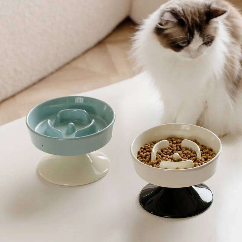 Ceramic Feeder Neck Protection Cat Food Bowl Elevated Anti-Choke Slow Eating Large Capacity Dog Pet Supplies 26W0330