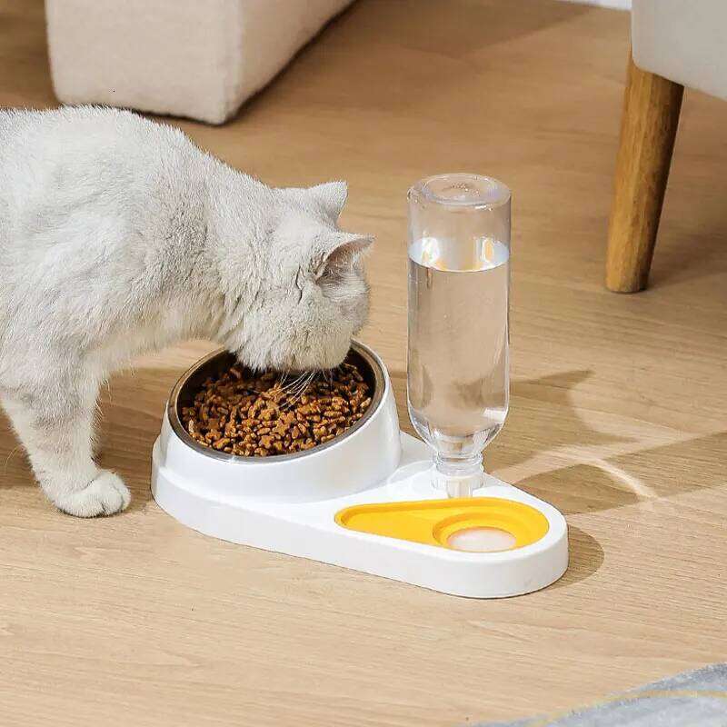 Elevated Pet Feeder Bowl with Weighted Base Anti-Overflow Edge Non-Slip Detachable Design for Joint Care of Cats And Dogs 26W0330