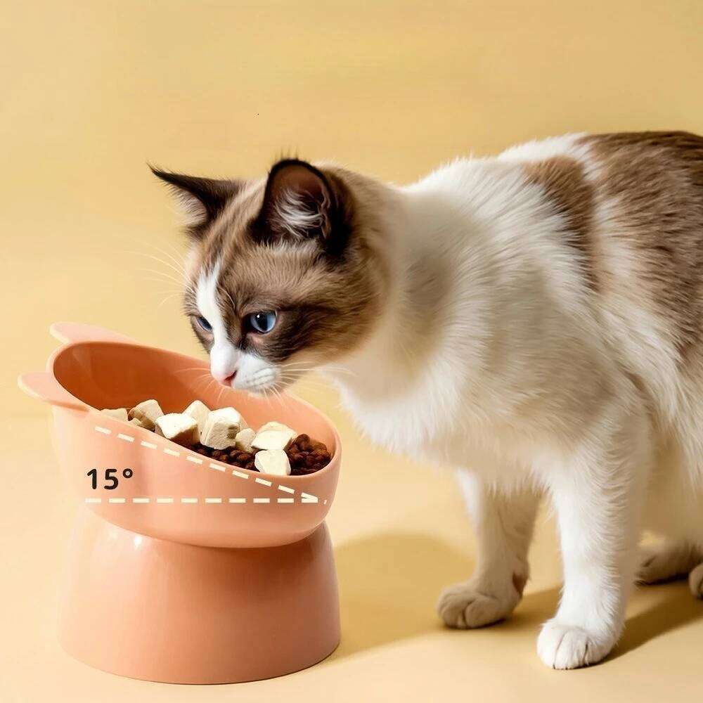 Tilted Elevated Pet Bowl, High Neck Protector Design, Anti-Choking Dog Cat Feeder with Non-Slip Base, Raised Food and Water Bowl 26W0330