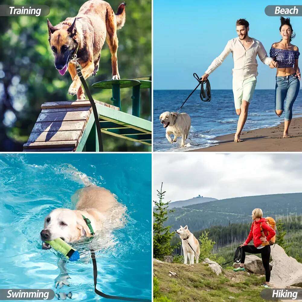 10M Pet Leash For Small Medium Big Dogs Cats Hiking Running Puppy Belt Reflective Dog Lead Yorkshire Chihuahua Product