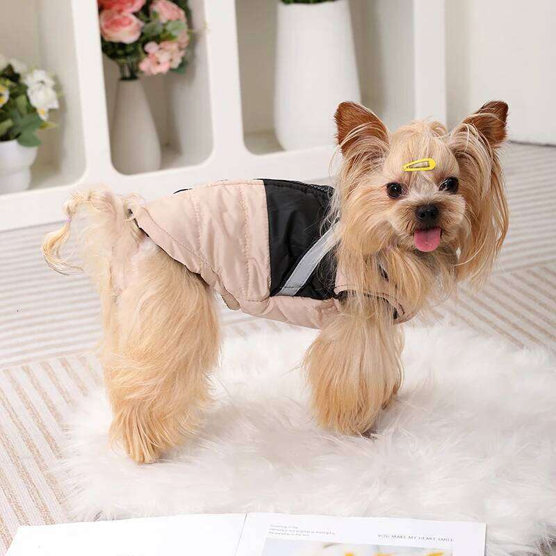 Coat With Harness Winter Warm Dog Clothes For Small Medium Dogs Cats Windproof Cat Clothing Chihuahua Yorkshire Pet Jacket