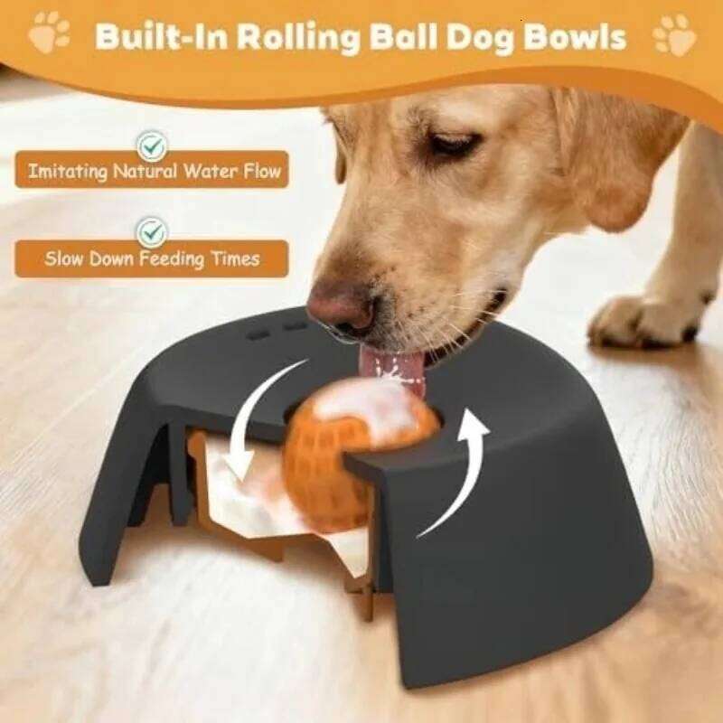 Anti-Choking Slow Feeder Dog Bowl Non-Slip 3/4 Cup - Lick Toy for Liquid Treats Bone Broth Yogurt 26W0330