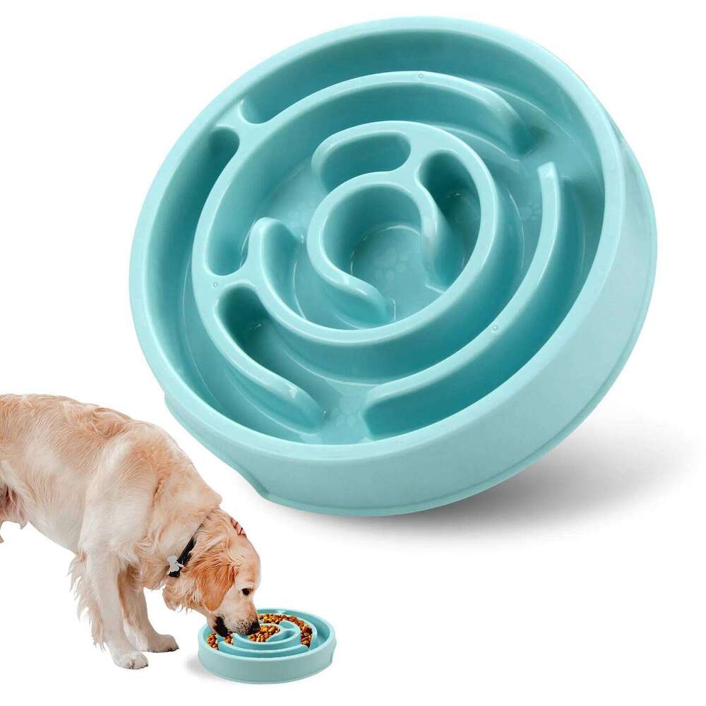 Dog pet slow food bowl training to relieve boredom and prevent overturning 26W0330