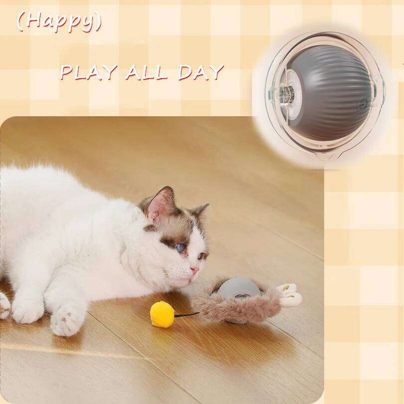 Toys Ball Cover Set Fast Rolling in Pouch Hide and Seek Kitten Motion Activated Interactive Cat Toy Indoor