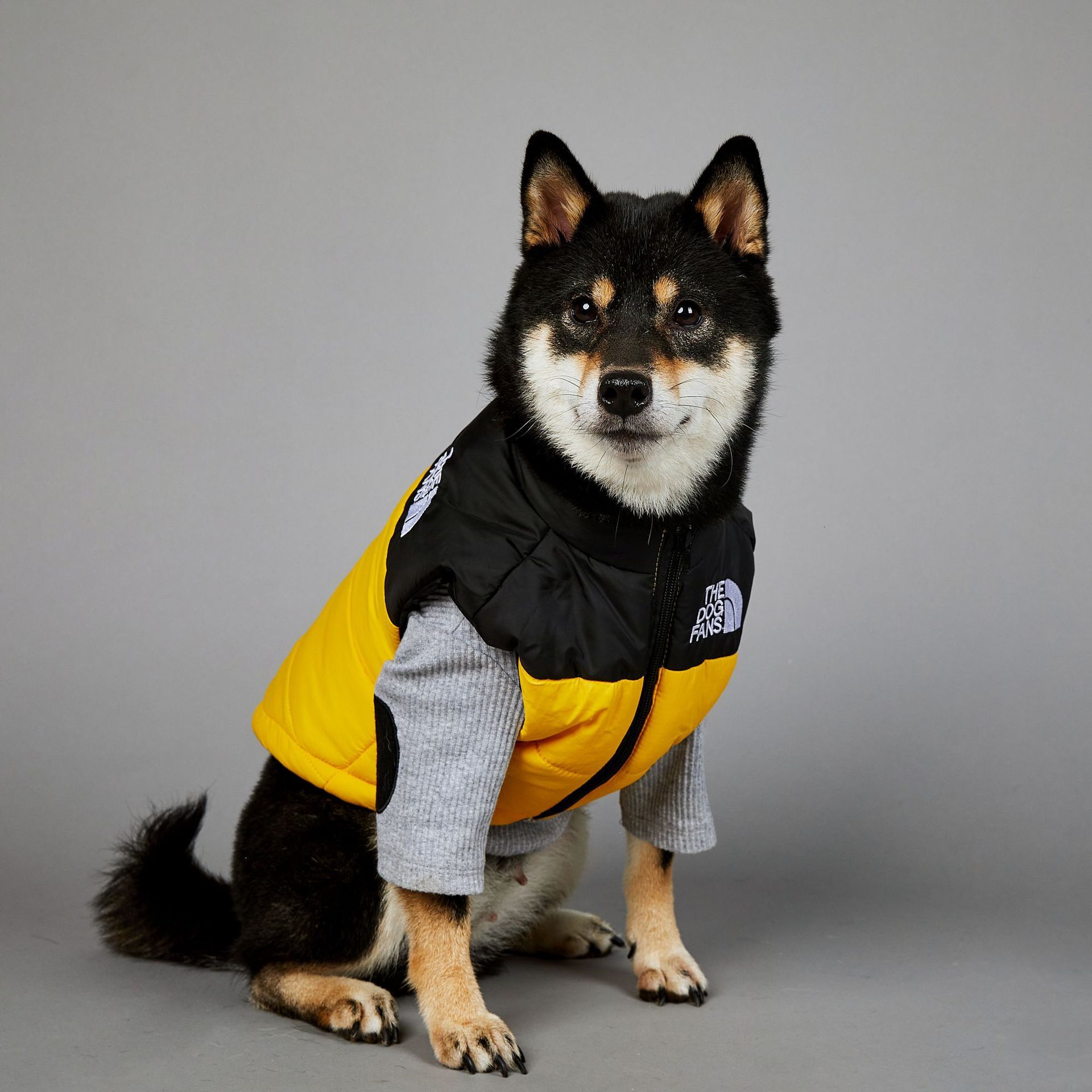 Dog Pet Cotton Jacket Windbreaker American Trendy Face Windproof Rainproof Large Winter Warm Raincoat