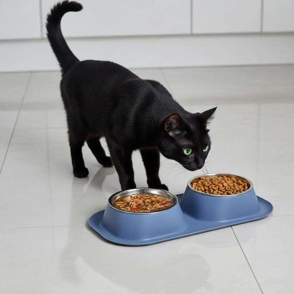 Stainless Steel Pet Bowls Double Bowl Set for Dogs & Cats - Non-Slip Food Water Feeder Dish 26W0330