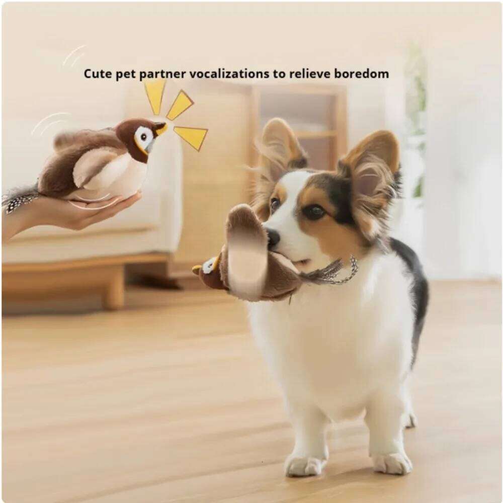 New Interactive Toys Electric Pat Bird with Catnip Dog Cats Touch-Activated Squeaky Plush Toy Pet USB Rechargeable